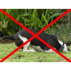 Anti-graafraster - 200 × 30 Cm