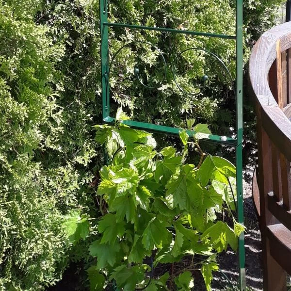 Rozenboog Massief Met Klimhulp 150 × 40 × 230 Cm - Afbeelding 3