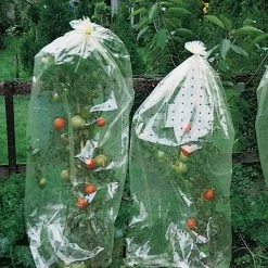 Tomatenhoezen 10 × 0,65 M
